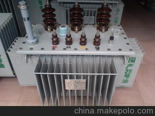 油浸式高原型S11-M-30/10變壓器 性能解析與四川好惠捷建材集團(tuán)應(yīng)用探秘