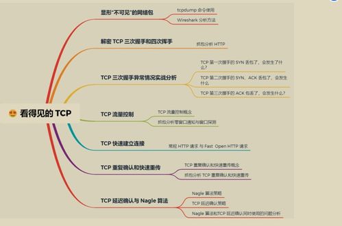 華為工程師詳解 計算機網(wǎng)絡(luò)工程施工與設(shè)計的核心原理